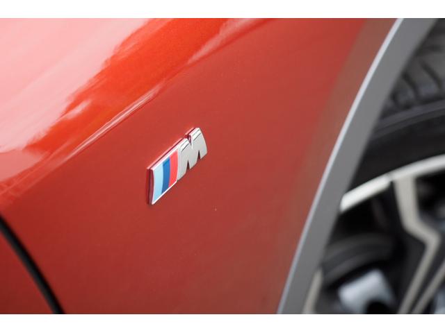 xDrive 20i MスポーツX・ACC・オートトランク(10枚目)