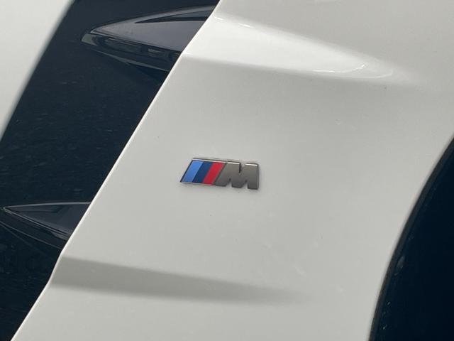 Ｚ４ Ｍ４０ｉ　【正規認定中古車】【全国正規ディーラー保証付／２年・走行距離無制限】赤革電動スポーツシート　シートヒーター　ハーマンカードン　アンビエントライト　社外レーダー　社外ＴＶ　１９インチアルミ（30枚目）