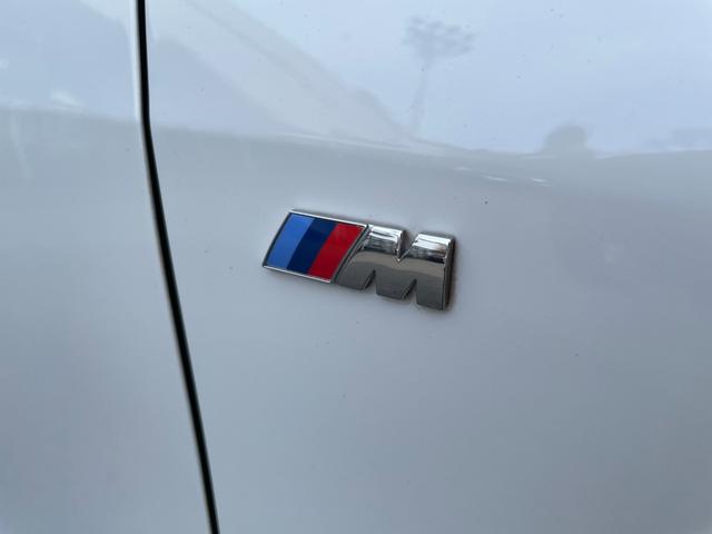 １シリーズ １１８ｉ　Ｍスポーツ　【正規認定中古車】【最長４年！全国正規ディーラー保証付／２年・走行距離無制限】ワンオーナー　コンフォートパッケージ　ＡＣＣ　オートトランク　ストレージパッケージ　ハーフレザー電動スポーツシート（24枚目）