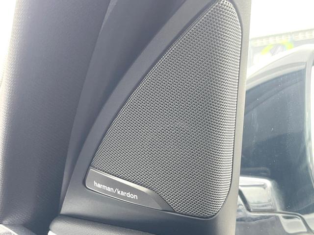 Ｘ３ ｘＤｒｉｖｅ　２０ｄ　Ｍスポーツ　セレクトＰＫＧ　ハイラインＰＫＧ　ＯＰ２０インチＡＷ　アンビエントライト　パノラマサンルーフ　茶革シート　ｈａｒｍａｎ／ｋａｒｄｏｎサウンド　純正ナビＴＶ　全周囲カメラ　アクティブクルーズコントロール（8枚目）