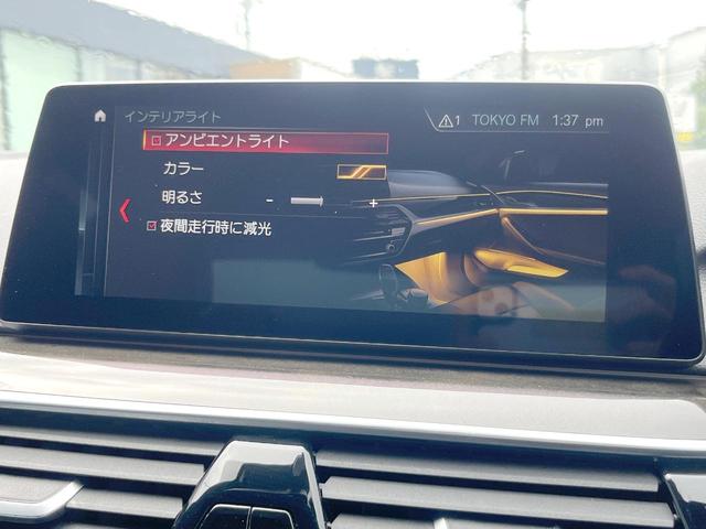 ５シリーズ ５２３ｄ　Ｍスポーツ　ハイラインパッケージ　ハイラインＰＫＧ　黒革シート　シートヒーター　純正ナビ　全周囲カメラ　アクティブクルーズコントロール　ヘッドアップディスプレイ　パワーシート　純正１９インチアルミホイール　電動リアゲート　ＥＴＣ（31枚目）