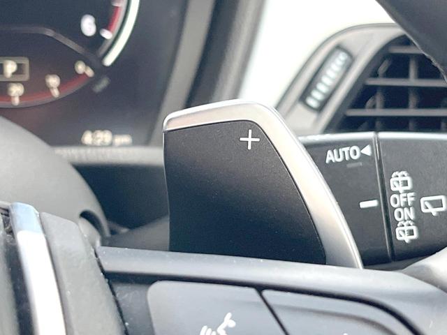 Ｘ１ ｘＤｒｉｖｅ　１８ｄ　Ｍスポーツエディションジョイ＋　ワンオーナー　コンフォートＰＫＧ　アドバンスドアクティブセーフティＰＫＧ　純正ナビ　リアビューカメラ　パワーシート　シートヒーター　パワーバックドア　ＬＥＤヘッド　純正１８インチＡＷ　ＥＴＣ　禁煙車（33枚目）