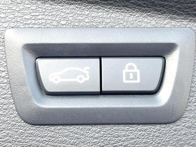 X2 xDrive 20i MスポーツX ハイラインPKG OP20インチアルミホイール 純正ナビ リアビューカメラ コンフォートアクセス パドルシフト ドライビングアシスト シートヒーター パワーバックドア LEDヘッドライト ETC 禁煙(8枚目)