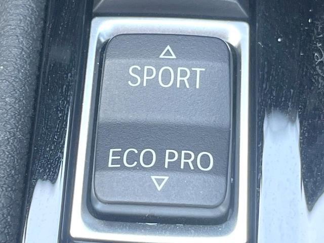 X2 xDrive 20i MスポーツX ハイラインPKG OP20インチアルミホイール 純正ナビ リアビューカメラ コンフォートアクセス パドルシフト ドライビングアシスト シートヒーター パワーバックドア LEDヘッドライト ETC 禁煙(33枚目)