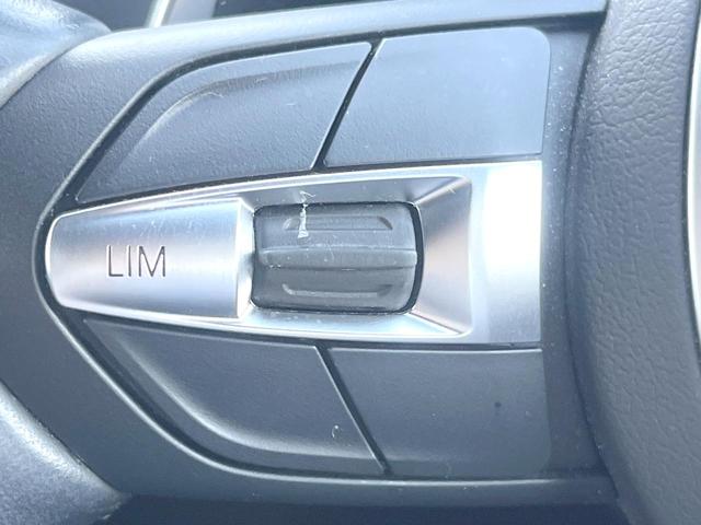 X2 xDrive 20i MスポーツX ハイラインPKG OP20インチアルミホイール 純正ナビ リアビューカメラ コンフォートアクセス パドルシフト ドライビングアシスト シートヒーター パワーバックドア LEDヘッドライト ETC 禁煙(37枚目)