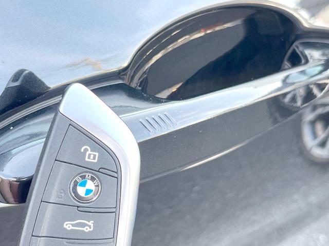 X2 xDrive 20i MスポーツX ハイラインPKG OP20インチアルミホイール 純正ナビ リアビューカメラ コンフォートアクセス パドルシフト ドライビングアシスト シートヒーター パワーバックドア LEDヘッドライト ETC 禁煙(46枚目)