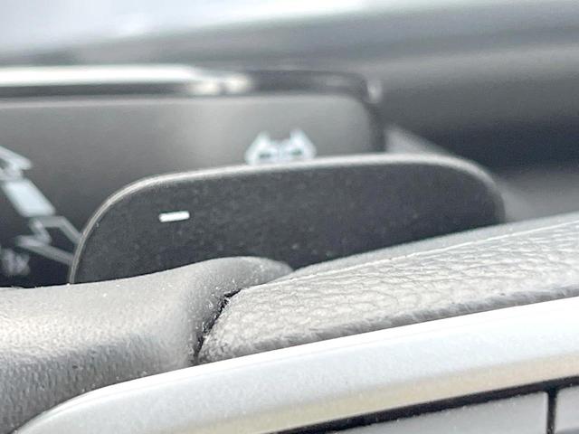 Ｔ－ロック ＴＤＩ　スタイル　ＤｉｓｃｏｖｅｒＰｒｏパッケージ　純正ナビ　Ａｐｐｌｅｃａｒｐｌａｙ　バックカメラ　アダプティブクルコン　純正１７インチＡＷ　パワーバックドア　スマートエントリー／スタートシステム　ＥＴＣ　禁煙車（33枚目）