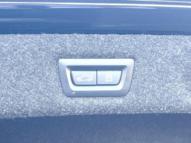 ５シリーズ ５３０ｉ　エディション　ミッション：インポッシブル　特別仕様車　ナイトブルー革スポーツシート　ｈａｒｍａｎ／ｋａｒｄｏｎサウンドシステム　ヘッドアップディスプレイ　アダプティブサスペンション　純正ナビ　全周囲カメラ　アクティブクルーズコントロール（28枚目）