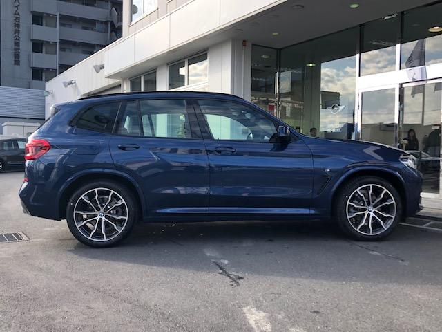 xDrive 20d Mスポーツハイラインパッケージ ACC(8枚目)