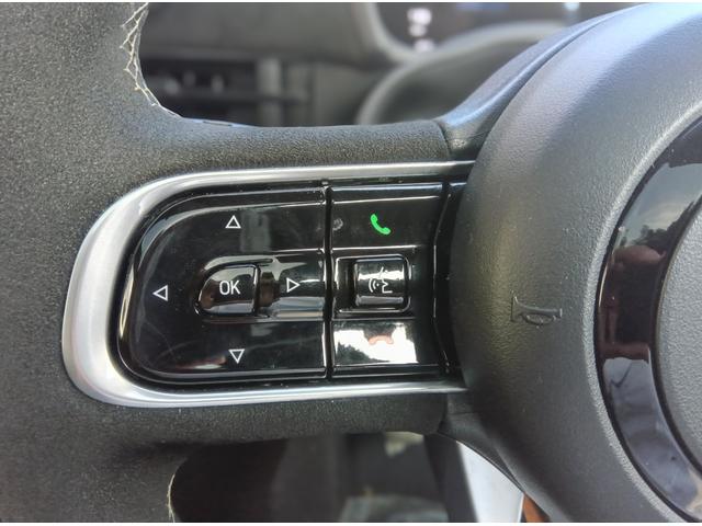 アバルト500e スコーピオニッシマ ハッチバック スコーピオニッシマ 限定モデル スコーピオニッシマ 専用サイドデカール(19枚目)