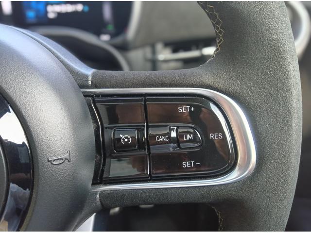 アバルト500e スコーピオニッシマ ハッチバック スコーピオニッシマ 限定モデル スコーピオニッシマ 専用サイドデカール(20枚目)