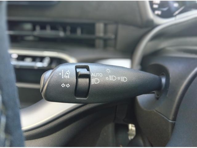 アバルト500e スコーピオニッシマ ハッチバック スコーピオニッシマ 限定モデル スコーピオニッシマ 専用サイドデカール(28枚目)