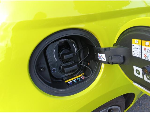 アバルト500e スコーピオニッシマ ハッチバック スコーピオニッシマ 限定モデル スコーピオニッシマ 専用サイドデカール(43枚目)