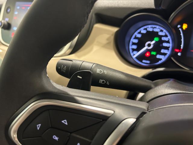 ５００Ｘ クロス　正規認定中古車　ユーザー仕入れ車両　レザーパワーシート　アダプティブクルーズコントロール　ブラインドスポットモニター　バックカメラ　ＥＴＣ　ＡｐｐｌｅｃａｒＰｌａｙ＆Ａｎｄｒｏｉｄａｕｔｏ対応（17枚目）