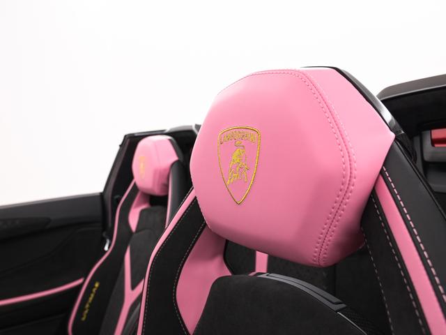 アヴェンタドール LP780-4ウルティメ 4WD Rosa Babi Lamborghini認定中古車 メーカー保証付 ロードアシスタンス Selezione Lamborghini Certified Pre-Owned(15枚目)