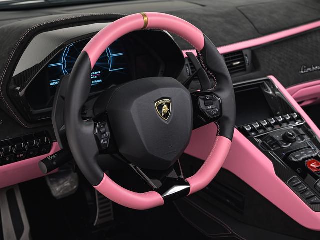 アヴェンタドール LP780-4ウルティメ 4WD Rosa Babi Lamborghini認定中古車 メーカー保証付 ロードアシスタンス Selezione Lamborghini Certified Pre-Owned(22枚目)