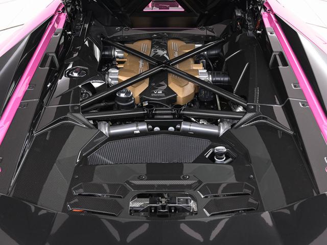 アヴェンタドール LP780-4ウルティメ 4WD Rosa Babi Lamborghini認定中古車 メーカー保証付 ロードアシスタンス Selezione Lamborghini Certified Pre-Owned(31枚目)