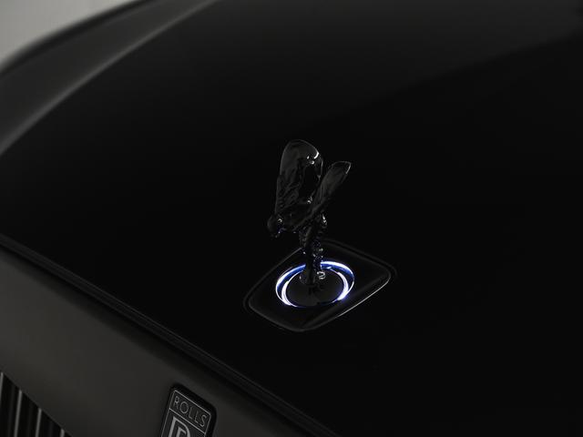 ゴースト 　２０２４モデル　Ｂｌａｃｋ　Ｂａｄｇｅ　Ｇｈｏｓｔ（56枚目）