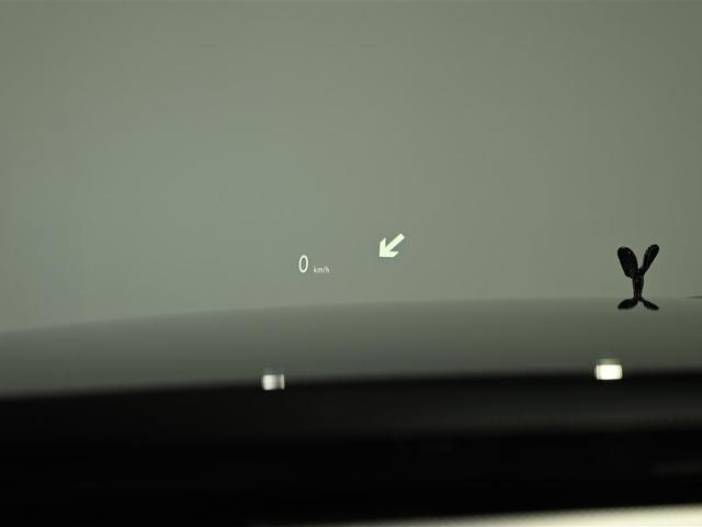 レイス Wraith BlackBatch(21枚目)