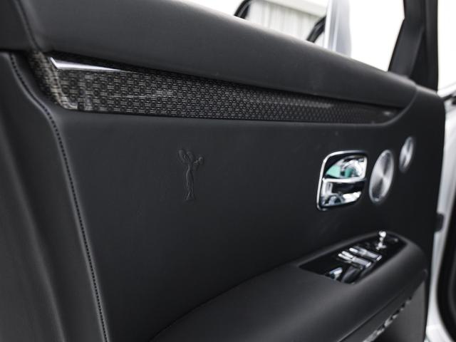 ゴースト ベースグレード 2025モデル Black Badge Ghost Series2(24枚目)