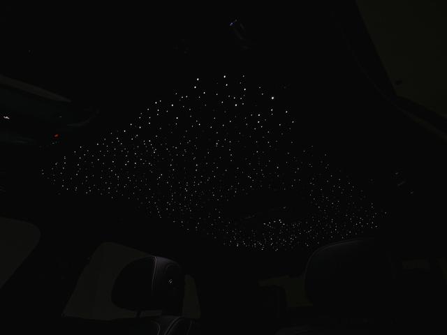 ゴースト ベースグレード 2025モデル Black Badge Ghost Series2(40枚目)