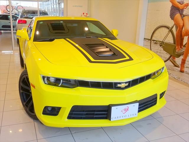 LT RS 革 Bカメ シートヒータ Bluetooth 除菌済(22枚目)