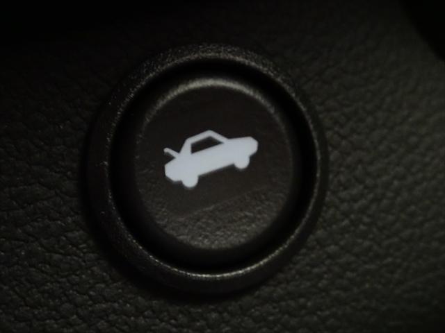 LT RS 革 Bカメ シートヒータ Bluetooth 除菌済(65枚目)