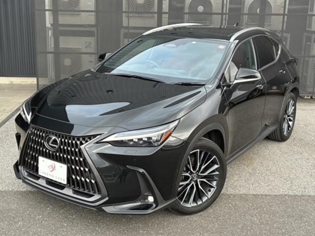 ＮＸ ＮＸ３５０ｈ　バージョンＬ　４ＷＤ　ワンオーナー　スライドガラスサンルーフ　フルレザーパワーシート　前後シートヒーター　シートエアコン　ステアリングヒーター　２０ＡＷ　ＬＫＡ　ＢＳＭ　ＰＳＢ　ＬＥＤヘッドライト　フォグランプ（21枚目）