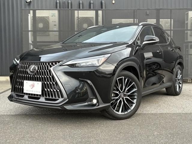 ＮＸ ＮＸ３５０ｈ　バージョンＬ　４ＷＤ　ワンオーナー　スライドガラスサンルーフ　フルレザーパワーシート　前後シートヒーター　シートエアコン　ステアリングヒーター　２０ＡＷ　ＬＫＡ　ＢＳＭ　ＰＳＢ　ＬＥＤヘッドライト　フォグランプ（22枚目）