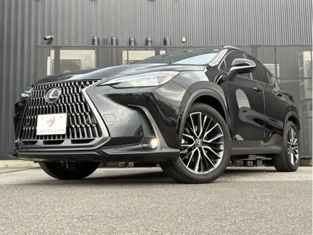 ＮＸ ＮＸ３５０ｈ　バージョンＬ　４ＷＤ　ワンオーナー　スライドガラスサンルーフ　フルレザーパワーシート　前後シートヒーター　シートエアコン　ステアリングヒーター　２０ＡＷ　ＬＫＡ　ＢＳＭ　ＰＳＢ　ＬＥＤヘッドライト　フォグランプ（23枚目）