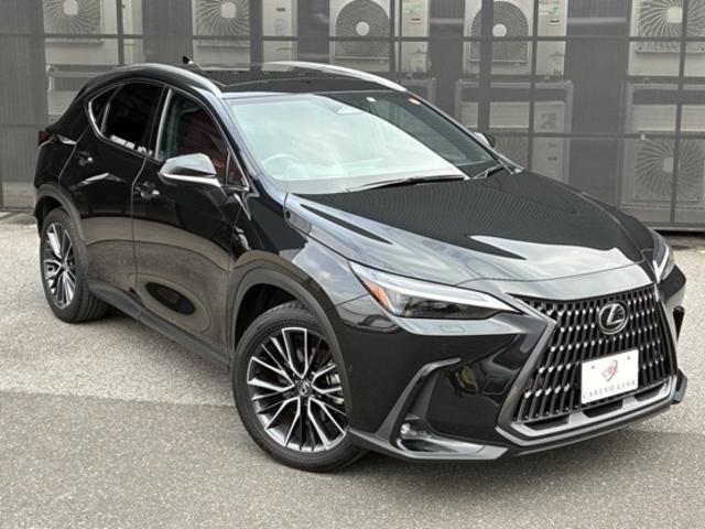 ＮＸ ＮＸ３５０ｈ　バージョンＬ　４ＷＤ　ワンオーナー　スライドガラスサンルーフ　フルレザーパワーシート　前後シートヒーター　シートエアコン　ステアリングヒーター　２０ＡＷ　ＬＫＡ　ＢＳＭ　ＰＳＢ　ＬＥＤヘッドライト　フォグランプ（27枚目）