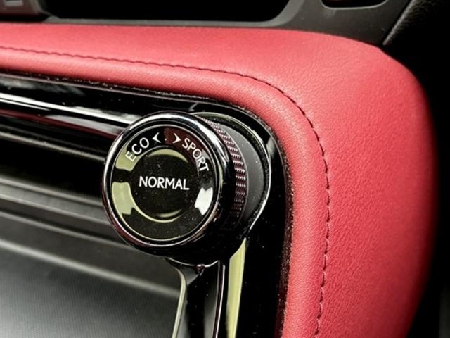 ＮＸ ＮＸ３５０ｈ　バージョンＬ　４ＷＤ　ワンオーナー　スライドガラスサンルーフ　フルレザーパワーシート　前後シートヒーター　シートエアコン　ステアリングヒーター　２０ＡＷ　ＬＫＡ　ＢＳＭ　ＰＳＢ　ＬＥＤヘッドライト　フォグランプ（73枚目）