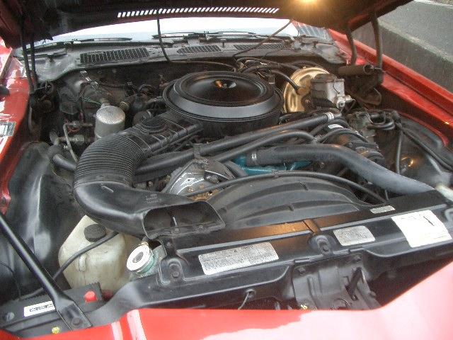 シボレーカマロ Ｚ２８（5枚目）