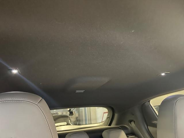 �k�d�c���[�������v