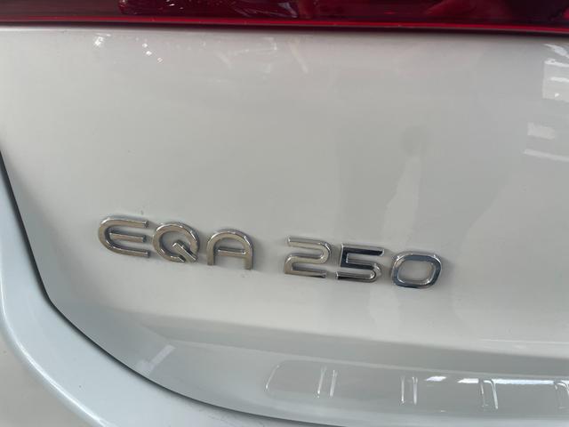 ＥＱＡ ＥＱＡ２５０　ＡＭＧレザーエクスクルーシブパッケージ　弊社下取車両／ＡＭＧレザーエクスクルーシブパッケージ／本革シート／メモリー付き電動パワーシート／シートヒーター／ヘッドアップディスプレイ／パノラミックスライディングルーフ／ワイヤレスチャージング（48枚目）