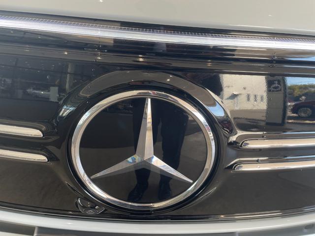 EQB EQB250 AMGレザーエクスクルーシブパッケージ 弊社下取り/電動トランク/360度カメラ/AMGライン/AMGレザーEXP/パノラマサンルーフ/有償カラー/本革シート/純正ドラレコ/シートヒーター/整備記録簿付き/認定中古車保証/HUD/禁煙車(48枚目)
