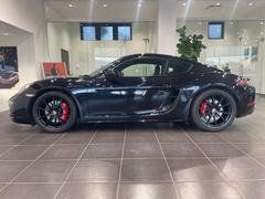 ݥ륷ɥ饤С쥯¿ŸǤ̵Υե꡼ڣݣݣۤѤ 6