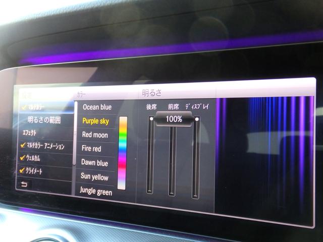 Ｅクラスステーションワゴン Ｅ２２０ｄ　ステーションワゴン　アバンギャルド　１オーナー車　エクスクルーシブＰＫＧ　純正１８ＡＷ　ブラックレザー　ＨＤＤナビ　フルセグＴＶ　３６０°カメラＬＥＤヘッドライト　シートヒーター　メモリーパワーシート　レーダーセーフティ　ブルメスター（55枚目）