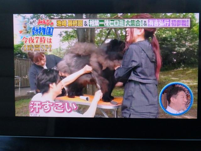 GLC GLC220d 4マチック 社外18AW パノラマSR アイボリーレザー シートベンチレーション 全席シートヒーター シートリラクゼーション メモリーパワーシート HDDナビ フルセグTV 360°カメラ ブルメスターサウンド(67枚目)