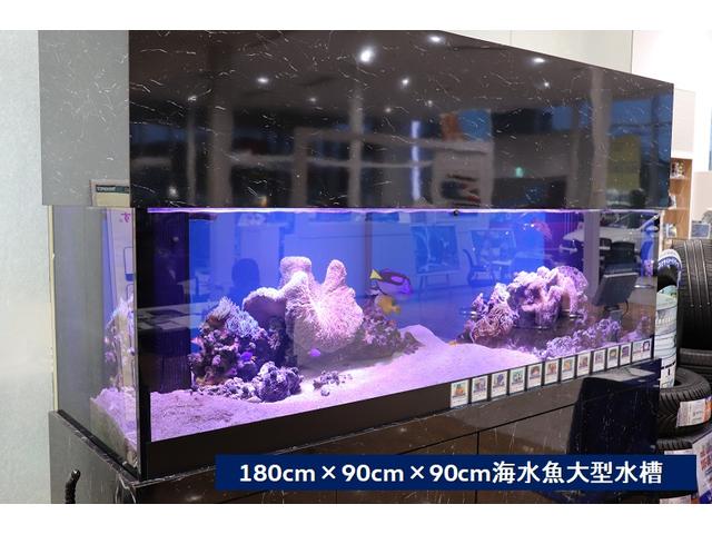 ティグアン ＴＳＩ　Ｒライン　ブラックスタイル　認定中古車　禁煙車　ワンオーナー　純正インフォティメントシステムＤｉｓｃｏｖｅｒＰｒｏ搭載　アダプティブクルーズコントロール　サイドアシストプラス　特別仕様車（40枚目）