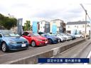 ＴＤＩ　スタイル　認定中古車　新車保証継承　禁煙車　ワンオーナー　クリーンディーゼルＴＤＩエンジン搭載　純正インフォティメントシステムＤｉｓｃｏｖｅｒＭｅｄｉａ搭載　ＬＥＤライト（32枚目）