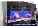 180cm×90cm×90cm海水魚大型水槽