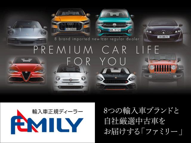 アエラス プレミアムエディション 8型ナビ 両側電動ドア(35枚目)