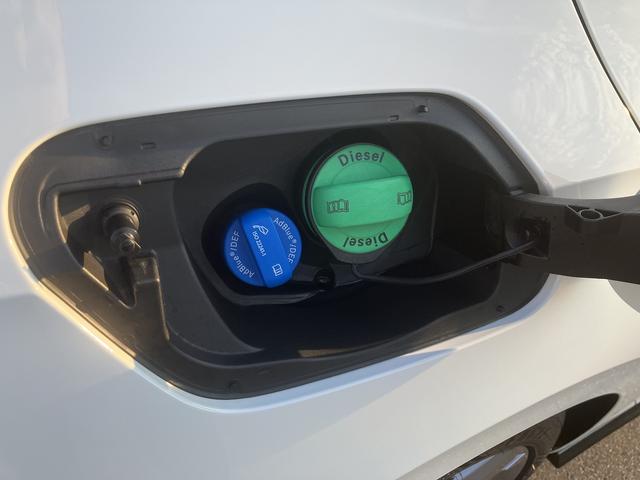 ゴルフ TDI Rライン プラチナムエディション(23枚目)