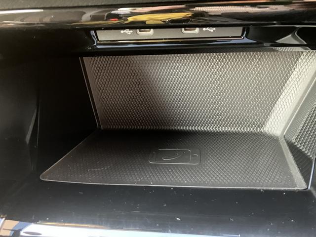 ゴルフ TDI Rライン プラチナムエディション(32枚目)