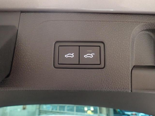 パサートオールトラック TDI 4モーション アドバンス 1オーナー デモカー ブルートゥースオーディオ 衝突被害軽減ブレーキ 禁煙車 パークアシスト シートヒーター レーンアシスト 黒革シート 電動シート パワーテールゲート 4WD(49枚目)
