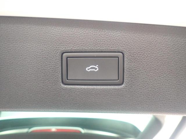 ティグアン TSI 4モーション Rライン(21枚目)