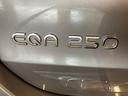 ＥＱＡ２５０　ＡＭＧレザーエクスクルーシブパッケージ　弊社ユーザー様お下取り車両　ＡＭＧライン　ＡＭＧレザーエクスクルーシブパッケージ　パノラミックスライディングルーフ　全周囲カメラ　ヘッドアップディスプレイ（58枚目）