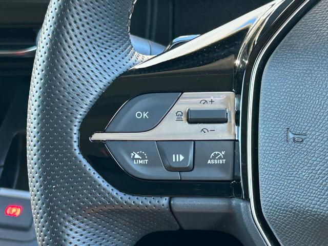 リフター ロングGT AppleCarplay/AndroidAuto ドラレコ前後 アドバンスドグリップコントロールレーンキープ&ポジショニングアシスト ACC ステアリングヒーター 17AW 新車保証継承付き(8枚目)