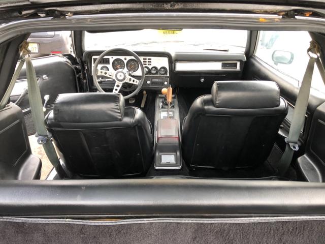 マスタング 国内新規 自社輸入 コブラII 302 V8 4速MT 国内新規 自社輸入 マスタングII コブラ 302 V8 4速MT フルノーマル フルオリジナル(21枚目)